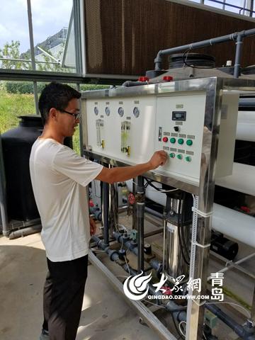 莱西菜农借力"互联网+" 在家里"控制"大棚